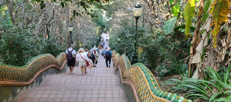 A wide brick staircase between two long serpent-shaped balustrades in green and gold, running down through tropical trees, with visitors walking down it