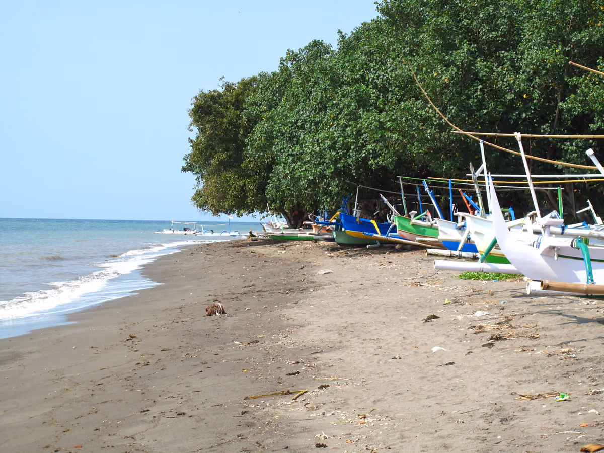 A dark-sand beach with brightly painted outrigger fishing boats pulled up under a line of trees, beside a gently breaking sea under a pale blue sky